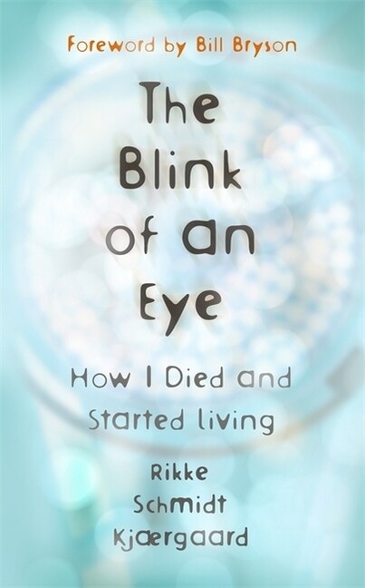 The Blink of an Eye (Paperback)