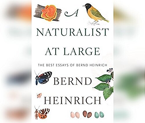 A Naturalist at Large: The Best Essays of Bernd Heinrich (Audio CD)