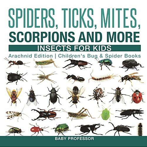 Spiders, Ticks, Mites, Scorpions and More Insects for Kids - Arachnid Edition Childrens Bug & Spider Books (Paperback)