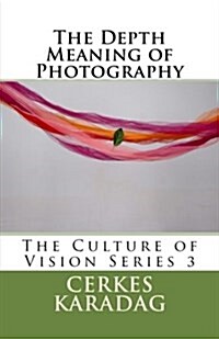 The Depth Meaning of Photography (Paperback)