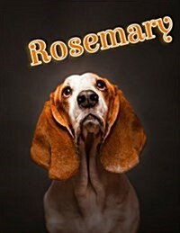 Rosemary: Personalized Address Book, Large Print, 8 1/2 X 11 (Paperback)