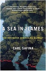 A Sea in Flames: The Deepwater Horizon Oil Blowout (Paperback)