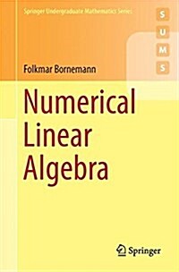 Numerical Linear Algebra: A Concise Introduction with MATLAB and Julia (Paperback, 2018)