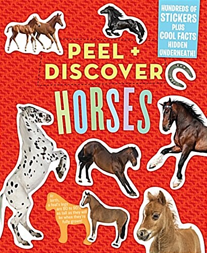 [중고] Peel + Discover: Horses (Paperback)