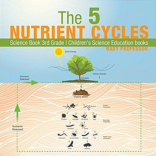 The 5 Nutrient Cycles - Science Book 3rd Grade Childrens Science Education books (Paperback)