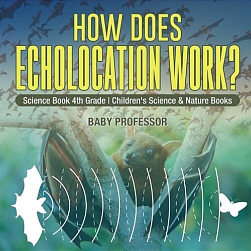How Does Echolocation Work? Science Book 4th Grade Childrens Science & Nature Books (Paperback)
