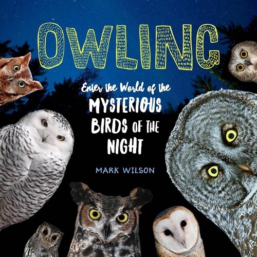 Owling: Enter the World of the Mysterious Birds of the Night (Hardcover)