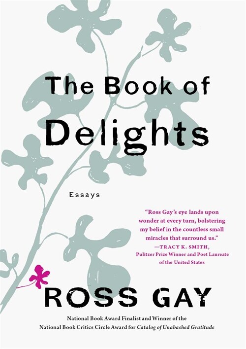 The Book of Delights: Essays (Hardcover)