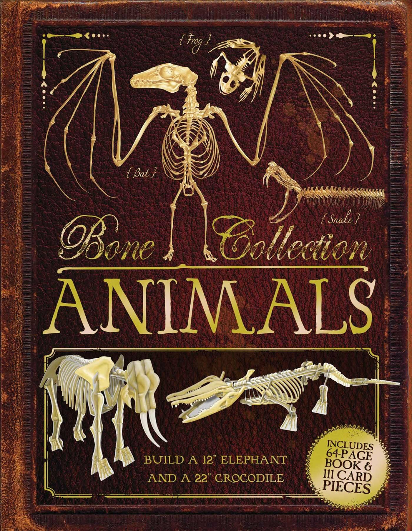Bone Collection: Animals (Hardcover)
