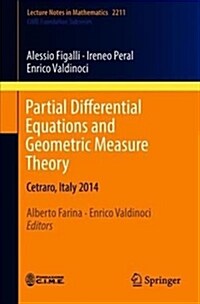 Partial Differential Equations and Geometric Measure Theory: Cetraro, Italy 2014 (Paperback, 2018)