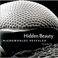 Hidden Beauty (Hardcover)