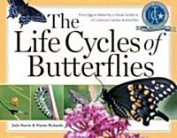 The Life Cycles of Butterflies: From Egg to Maturity, a Visual Guide to 23 Common Garden Butterflies (Paperback)