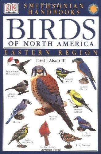Birds of North America: East: The Most Accessible Recognition Guide (Paperback)