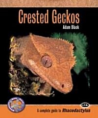 Crested Geckos (Paperback)