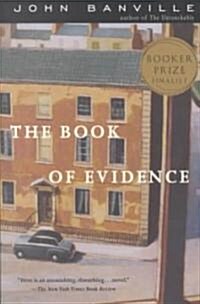 The Book of Evidence (Paperback)