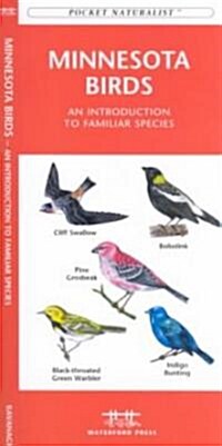 Minnesota Birds: A Folding Pocket Guide to Familiar Species (Other)