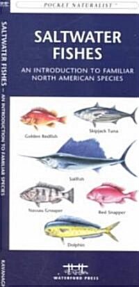 Saltwater Fishes: A Folding Pocket Guide to Familiar North American Species (Other)