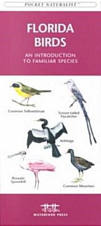 Florida Birds: A Folding Pocket Guide to Familiar Species (Paperback)