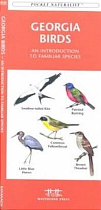 Georgia Birds: An Introduction to Familiar Species (Paperback)