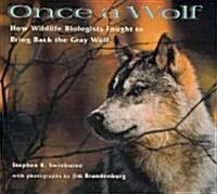 Once a Wolf: How Wildlife Biologists Fought to Bring Back the Gray Wolf (Paperback)