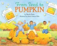 From seed to pumpkin 표지이미지