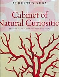[중고] Albertus Seba: Cabinet Of Natural Curiosities / Das Naturalien-Kabinett / Le Cabinet Des Curiosites 