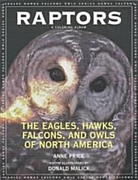 Raptors: The Eagles, Hawks, Falcons, and Owls of North America (Paperback, Revised and Exp)