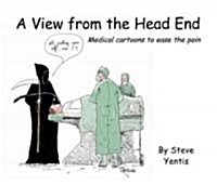 A view from the head end : Medical cartoons to ease the pain (Paperback)
