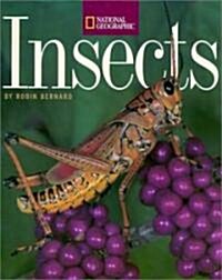 Insects (Paperback, Trade)