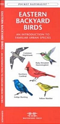 Eastern Backyard Birds: An Introduction to Familiar Urban Species (Paperback)