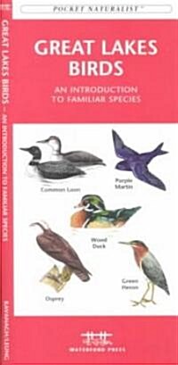 Great Lakes Birds: An Introduction to Familiar Species (Loose Leaf)