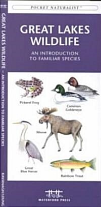 Great Lakes Wildlife: A Folding Pocket Guide to Familiar Species (Other)