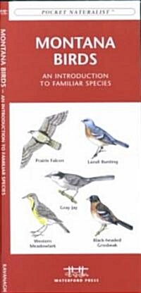 Montana Birds: A Folding Pocket Guide to Familiar Species (Other)