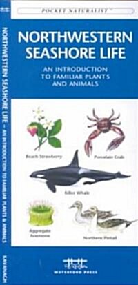 Northwestern Seashore Life: A Folding Pocket Guide to Familiar Plants & Animals (Other)