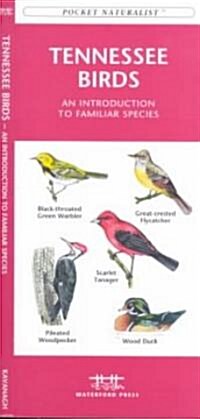 Tennessee Birds: A Folding Pocket Guide to Familiar Species (Other)