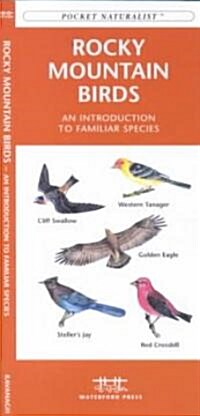 Rocky Mountain Birds: An Introduction to Familiar Species (Other)