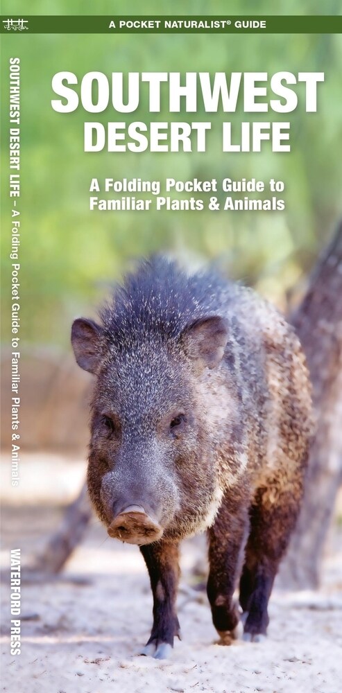 Southwest Desert Life: A Folding Pocket Guide to Familiar Plants & Animals (Paperback)