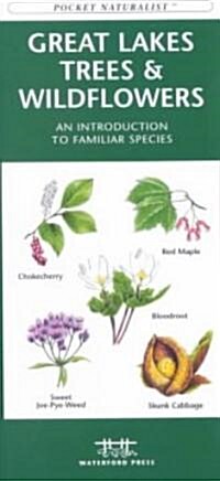 Great Lakes Trees & Wildflowers: A Folding Pocket Guide to Familiar Species (Other)