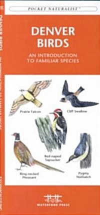 Denver Birds: An Introduction to Familiar Species (Paperback)