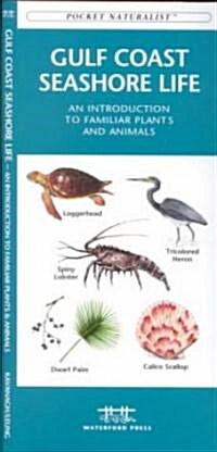 Gulf Coast Seashore Life: An Introduction to Familiar Plants and Animals (Paperback)