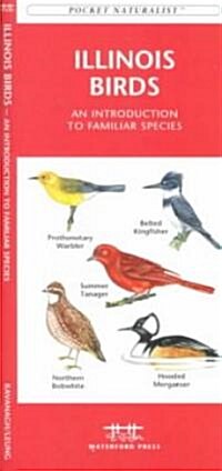 Illinois Birds: An Introduction to Familiar Species (Paperback)