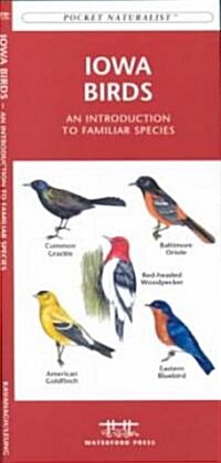 Iowa Birds: A Folding Pocket Guide to Familiar Species (Other)