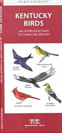 Kentucky Birds: A Folding Pocket Guide to Familiar Species (Paperback)