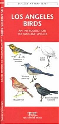 Los Angeles Birds: A Folding Pocket Guide to Familiar Species (Paperback)