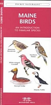 Maine Birds: A Folding Pocket Guide to Familiar Species (Paperback)