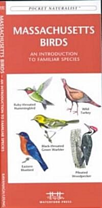 Massachusetts Birds: A Folding Pocket Guide to Familiar Species (Other)