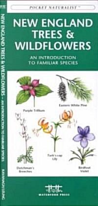 New England Trees & Wildflowers: A Folding Pocket Guide to Familiar Plants (Paperback)