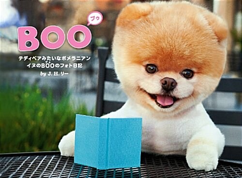 BOO　イヌのブゥのフォト日記 (單行本)