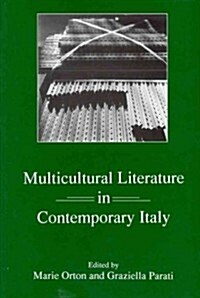 Multicultural Literature in Contemporary Italy (Hardcover)