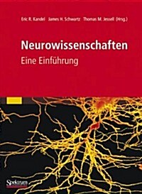 Neurowissenschaften : Eine Einfuhrung (Paperback, 1995 ed.)